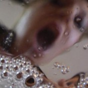 snot from lolly and spit from me me amber leigh amber leigh