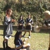 summer c and of scat