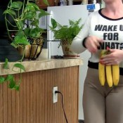 farts on objects fartprincess