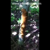 august2012rockchick4 classis teen poop videos rock chick