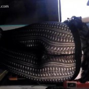 april2013rockchick3 classis teen poop videos rock chick