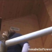 annabelleflowers 110727toiletslave milf collection annabelle flowers