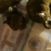 loverachelle2-dropping5thickshits