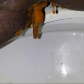 webcam solo scat 0830