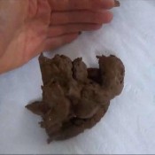 sarah big shit sarah nilson