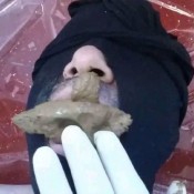 lady milena sklavenmahlzeit mit edel 2217