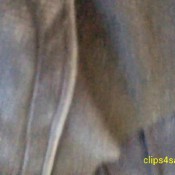 ayanna`s farting everywhere!! ladies keeping it funky funkyladies