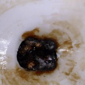 pretty girl pooping in potty dirtylilsecret