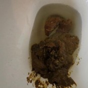 3 days of toilet cam diarrhea and solid shits hd amberbooty