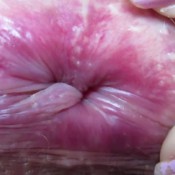 ass,asshole,anal compilation hd cuteblonde666