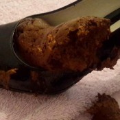 shoehugenaughtyshit the fart babes