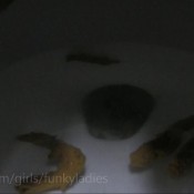 `this sounds crazy, but i`ll try it!!` hd funkyladies