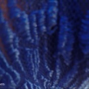 fart punishment! hd loverachelle2