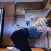 cute blonde voyeur vid as she farts and cleans kitchen hd hd lilly sage farts and more