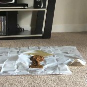 starburst`s frontage shits hd voodoovixen