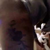 desperado pee and poop jordanblayne