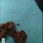 pooping with victoria lavigne 5