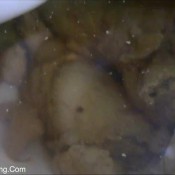 yesterday plops thenewgirlspooping eve fetish queen