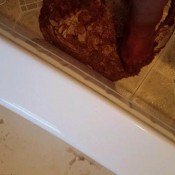 poop shaped hearts foot scat stomp hd amberbooty