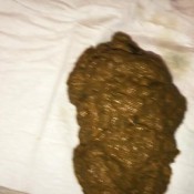 poop and packaging mistressmysthick