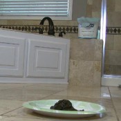 treat time (hd) emilee hanai lola rae