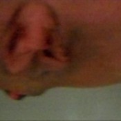 talking and pooping cosmicgirl