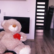 teddy bear smell my gas hd hotdirtyivone