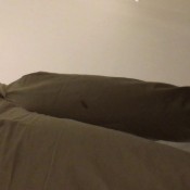 cream chinos and a shit hd kinkycat