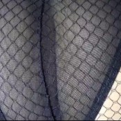 daddy knows about it.. rudegirl