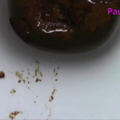 shit compilation march 2k18 hd pauline maxx