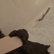 ang.under the toilet hd hotdirtyivone