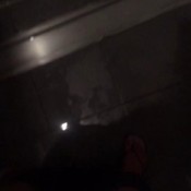 7 days every pee and shit asiatrip (part 2) veganlinda