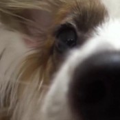 sawako nice poop hd jp fetish merchant