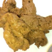 i cant stop shitting only poop hd diabolic sigal janet