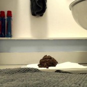 4 days of pooping in the morning. hd hayley-x-x