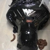 mistress gaia total wc training padronagaia