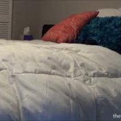 flappy, farty, sharty thelegionofplume