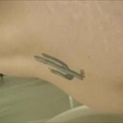 10 pounds thelegionofplume