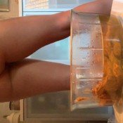 its all for you hd kinkycat