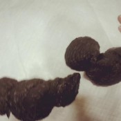 taking some nasty shits! loverachelle2