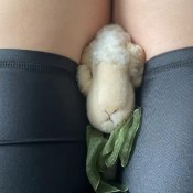 farts in black spandex biker shorts avalon maze