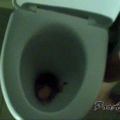 alina shitting after a * bachelorette party * suppkakiem