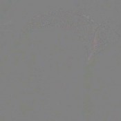 cum on my ass hornylily