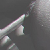 tsd | shit desperation butthole wink thescatdevils