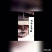 ebonybooty49 daily farts ebonybooty49