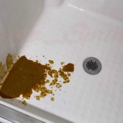 diarrhea fountain in shower sophia_sprinkle