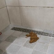 be my chocolate licker! hd missmortelle