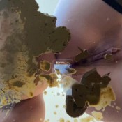 soft shit nice view times 2 thehealthywhores