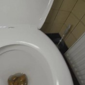 quick toilet shit and piss amysinclair