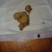 bedtime shit-piss-smear amysinclair